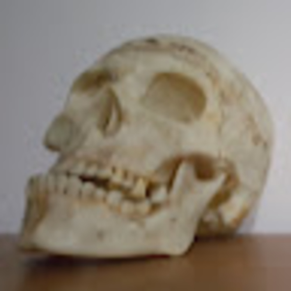 Meet your Posher, Aryana